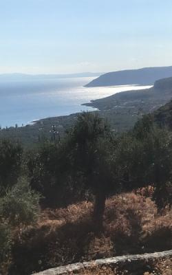 Οικόπεδο 1264 Καρδαμύλη