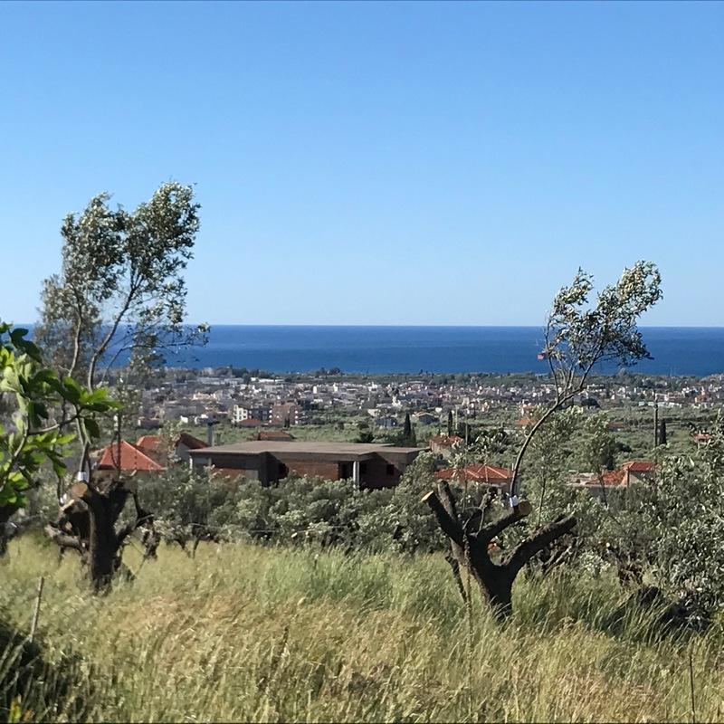 Αγροτεμάχιο 730 τ.μ. Ξηροκάμπι Λέικα.
