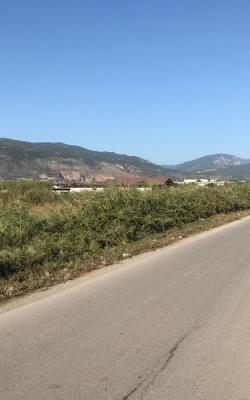 Κτήμα 3900 τ.μ. Ασπρόχωμα Καλαμάτα.